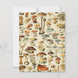 Carte Collection de champignons