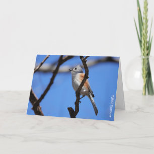 Carte Collection d'oiseaux : mésange à crête (notes vier