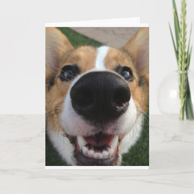 Carte Collection Welsh Corgi Chien Nose (Devant)