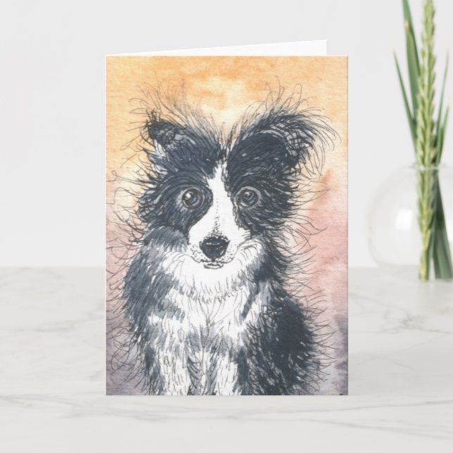 Carte Collie Bordure, Pour Les Amateurs De Collie! (Devant)