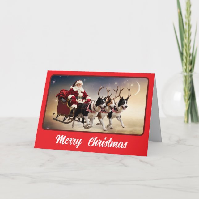 Carte Collie de frontière drôle de Noël (Devant)