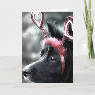 Carte Collie Valentine
