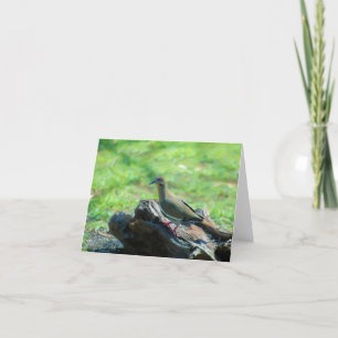 Carte Colombe à ailes par blanc