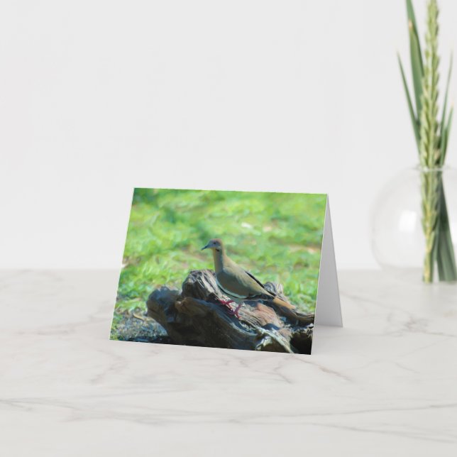 Carte Colombe à ailes par blanc (Devant)