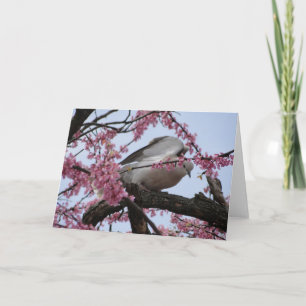 Carte Colombe et fleurs de Redbud