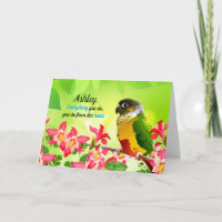 Colonne douce Conure Animaux de compagnie Gratitud