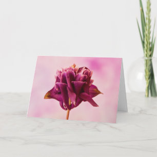 Carte Colonne rose de Bourgogne