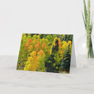 Carte Colorado Aspen Grove