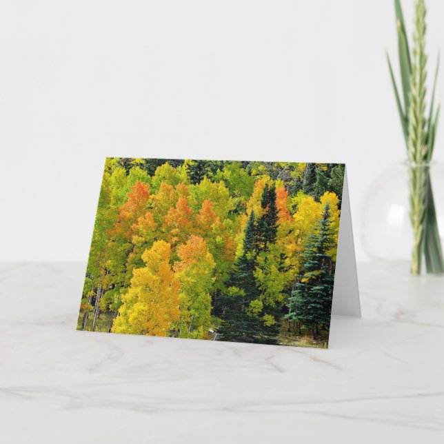 Carte Colorado Aspen Grove (Devant)