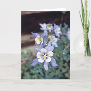Carte Colorado Columbine Bleue