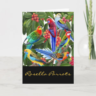 Carte Colorée Rosella Parrots