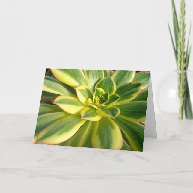 Carte Colorful succulent #2 Note (Devant)