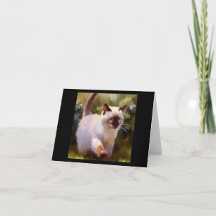 Carte Colorpoint Shorthair