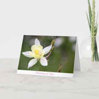 Carte Columbine blanc pensant à vous cardent