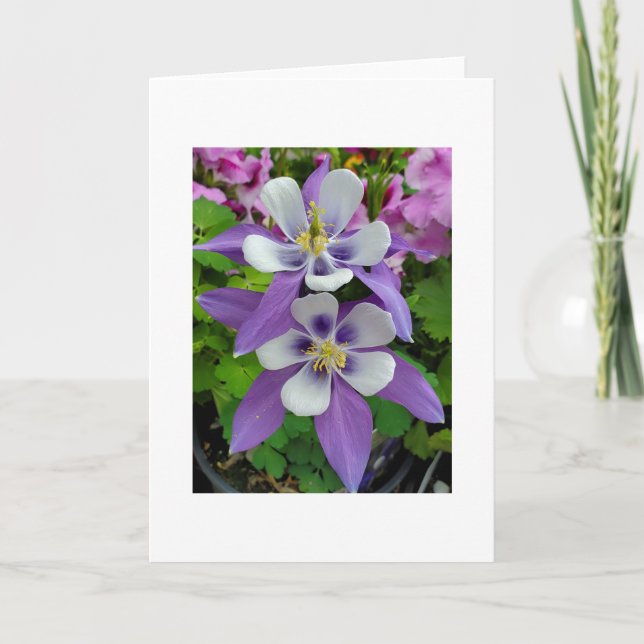 Carte Columbine flower greeting card (Devant)