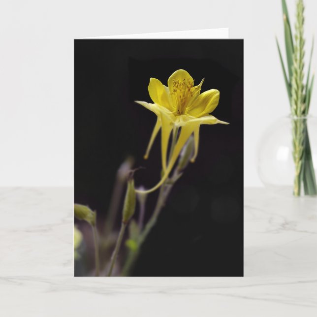 Carte Columbine jaune (Devant)