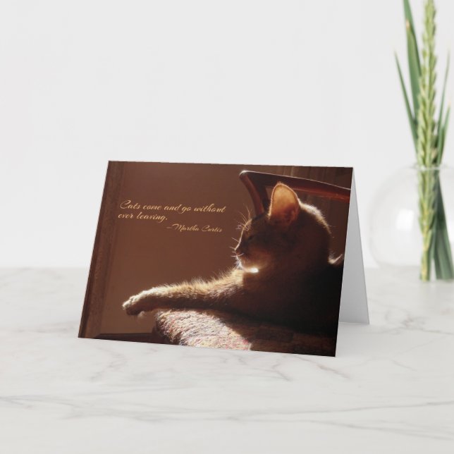 Carte Come and Go pour les chats (Devant)