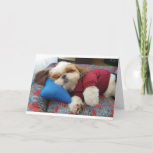 CARTE COMEDIC DOG DIT FAIRE ÇA SUR FÊTE DES PÈRES