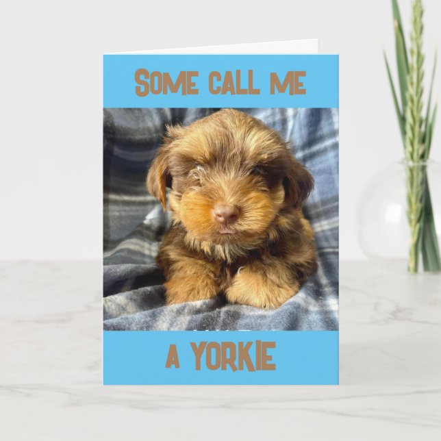 CARTE COMEDIEN TERRIER DU YORSHIRE DIT "JOYEUX ANNIVERSA (Devant)