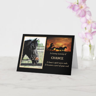 Carte commémorative de la Sympathie du Cheval Phot