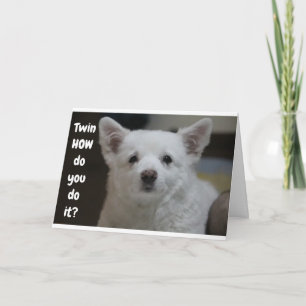 CARTE COMMENT AS-TU L'AIR SI JEUNE JUMELLE DIT CHIEN