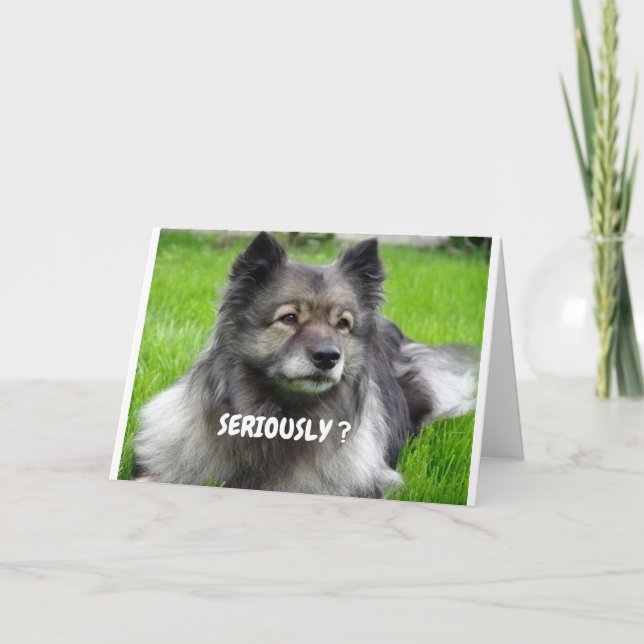 CARTE COMMENT AS-TU L'AIR SI JEUNE TWIN DIT CUTIE PUP (Devant)