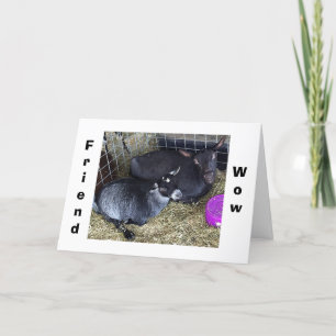 CARTE COMMENT L'ÂGE EST-IL DE DIRE QUE VOUS ÊTES AMIE CE