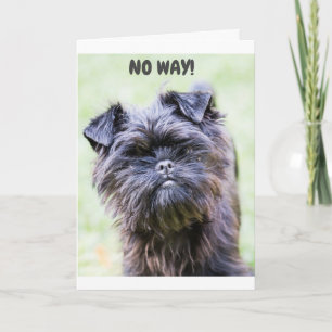 CARTE COMMENT POUVEZ-VOUS FAIRE "50"