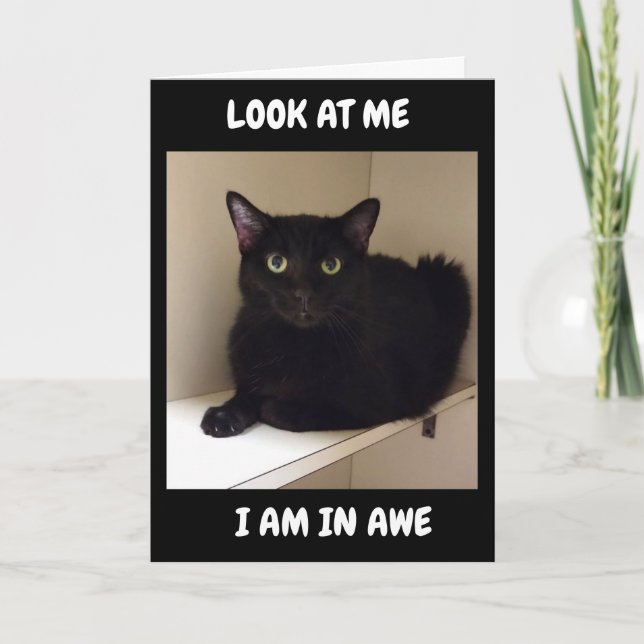 CARTE COMMENT POUVEZ-VOUS FAIRE "50" (Devant)