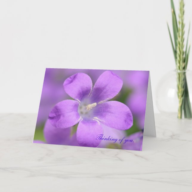 Carte Compagnon. Pensez à vous, Card (Devant)