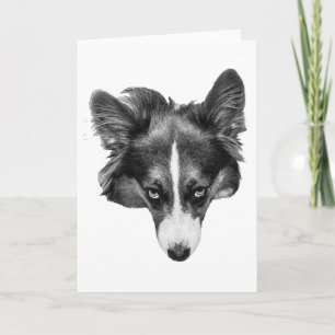 Carte compagnon silverlight