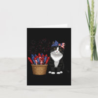 Conception de chat et de feux d'artifice du 4 juil