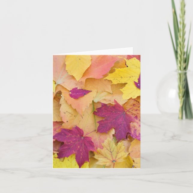 Carte Conception de feuilles d'automne (Devant)