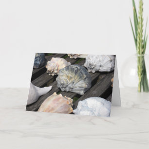 Carte Conch Shell Birthday Card