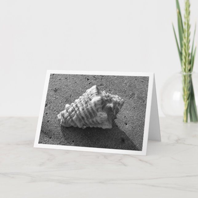 Carte Conch Shell (noir et blanc) (Devant)