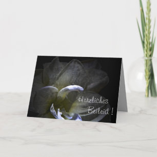 Carte Condoléances ! Fleur d'Amaryllis   ...