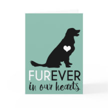 Condolence de chien animal | Furever Dans Nos Coeu