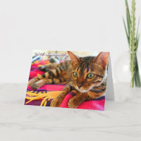 Condolences With Sympathy Beautiful Bengal Cat