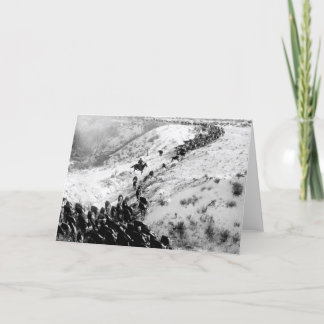 Carte Conduire du bétail en hiver.