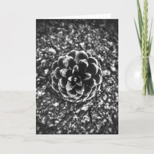 Carte Cône de pin (Devant)