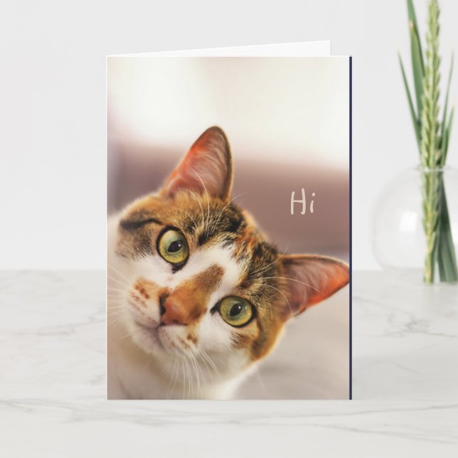 Carte Congratulations! Cute Cat Kitten Animal Funny Card (Devant)