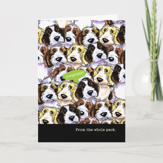 Carte Congratulations from Group Funny PBGV (Devant)