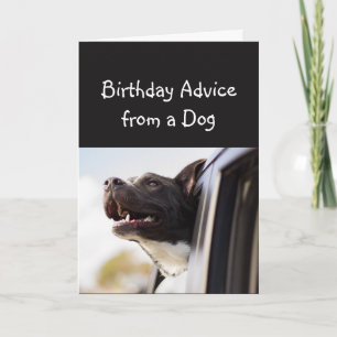 Carte Conseil d'anniversaire d'un chien amusant Humour a