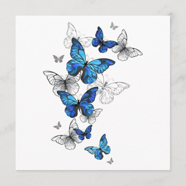 Carte Conseil Papillons volants bleus Morpho (Devant)