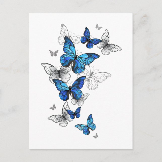Carte Conseil Papillons volants bleus Morpho (Devant)