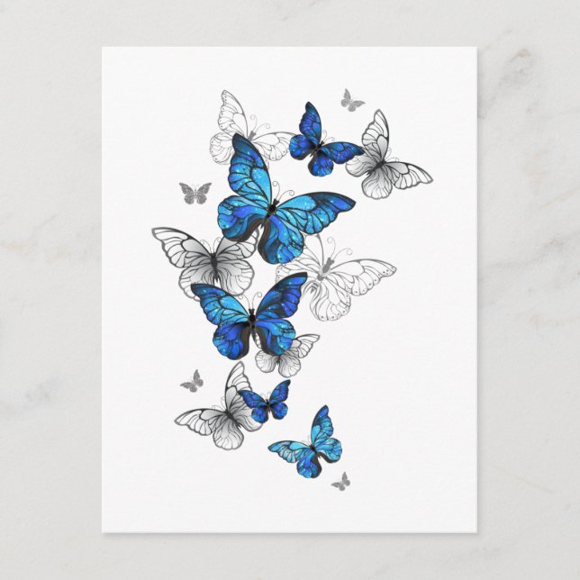 Carte Conseil Papillons volants bleus Morpho (Devant)