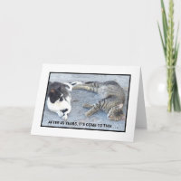 CONTENTEMENT ANNIVERSAIRE/DEUX CHATS DE SOMMEIL/ H