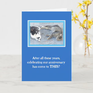 CARTE CONTENTEMENT ANNIVERSAIRE/DEUX CHATS DE SOMMEIL/ H