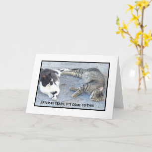 CARTE CONTENU DE FÊTE/DEUX CHATS ENDORMIS/ HUMOUR