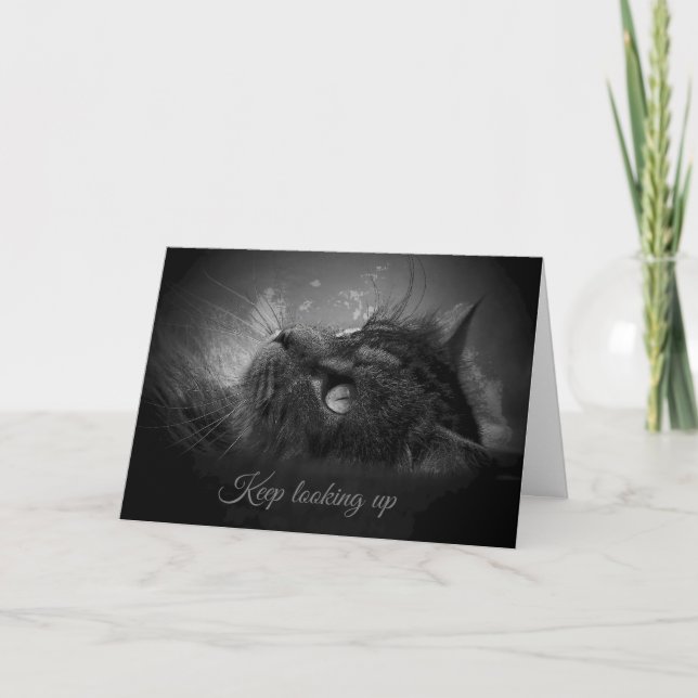 Carte Continuer à regarder (Devant)